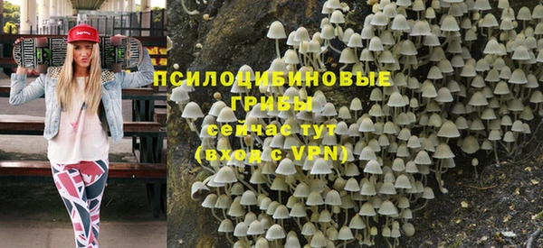 apvp Ельня